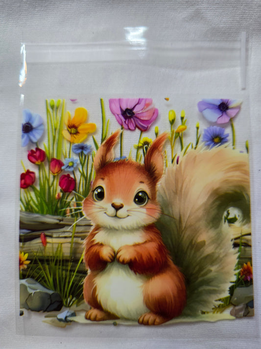 Cadeauzakje eekhoorn